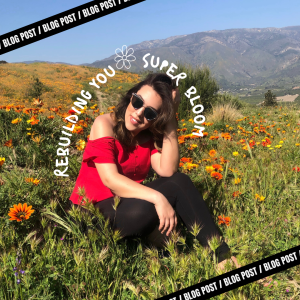 SuperBloom: Harnessing Spring's Energy for Transformation Beyond Divorce